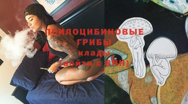 дживик Абинск