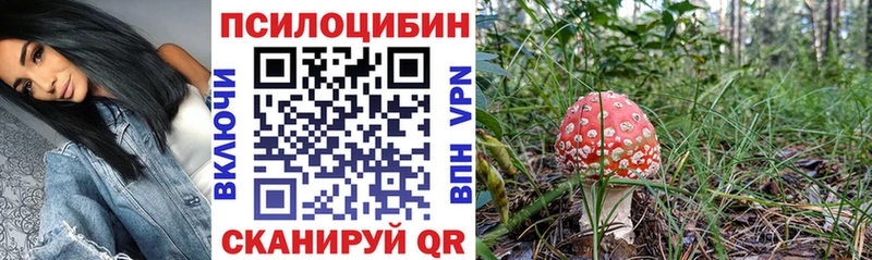 Псилоцибиновые грибы Psilocybine cubensis Красавино